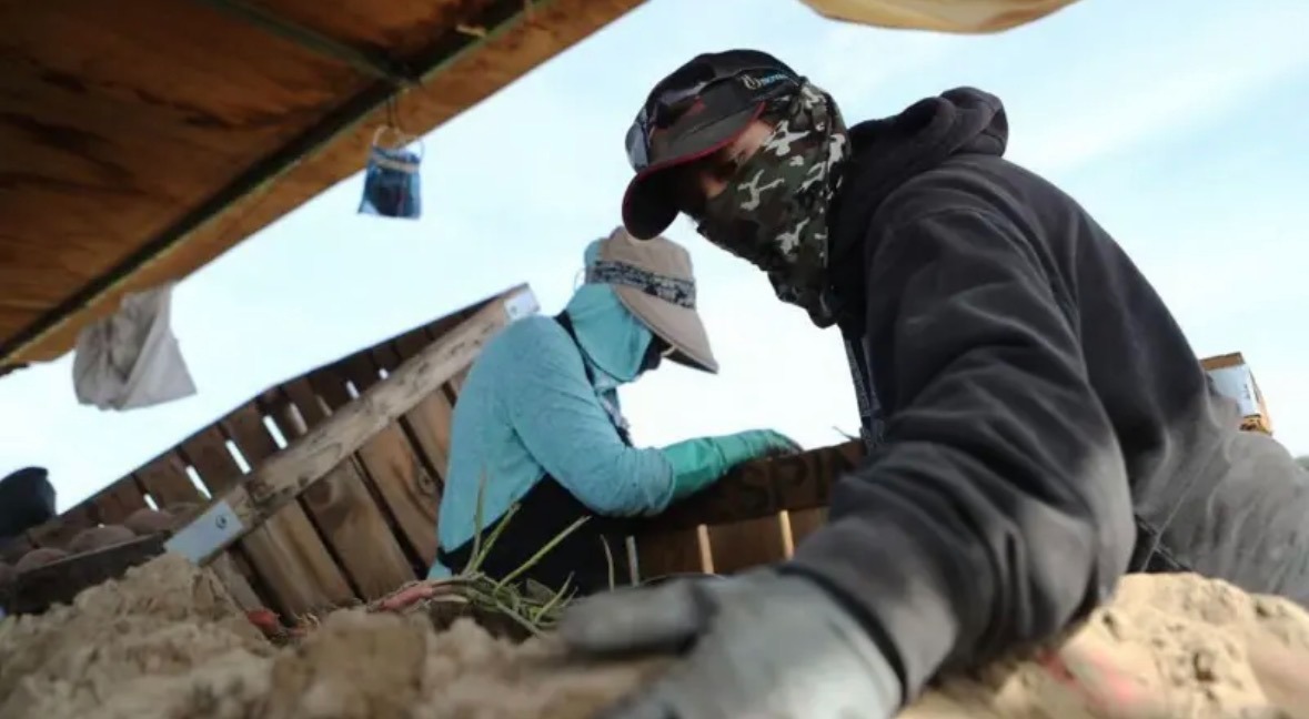 Mudanças podem afetar quem trabalha nos EUA